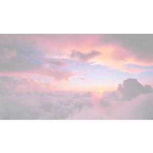 一级A片不卡在线观看
